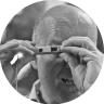 Maxim R. Garrtner